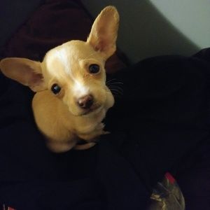 Meet your Posher, Stacy